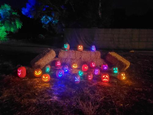 Nights of the Jack